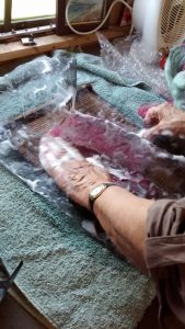 IMG_20150510_125045645