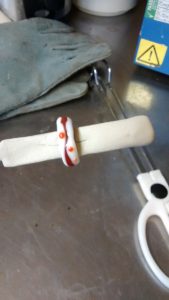 IMG_20160326_112826734