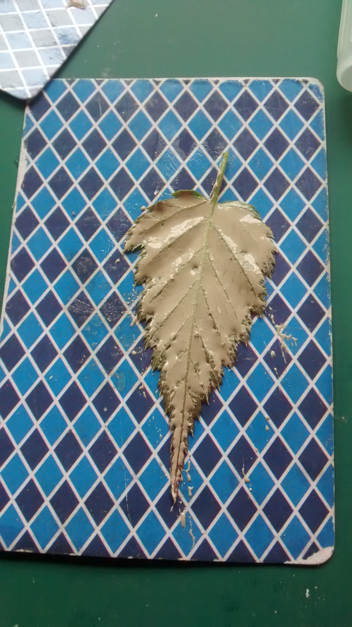 IMG_20160410_144935061