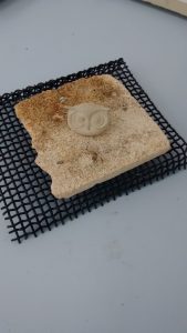 IMG_20160510_144332375