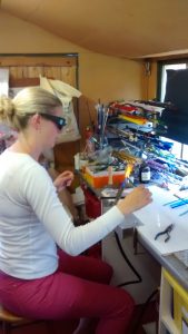 IMG_20160724_123808561